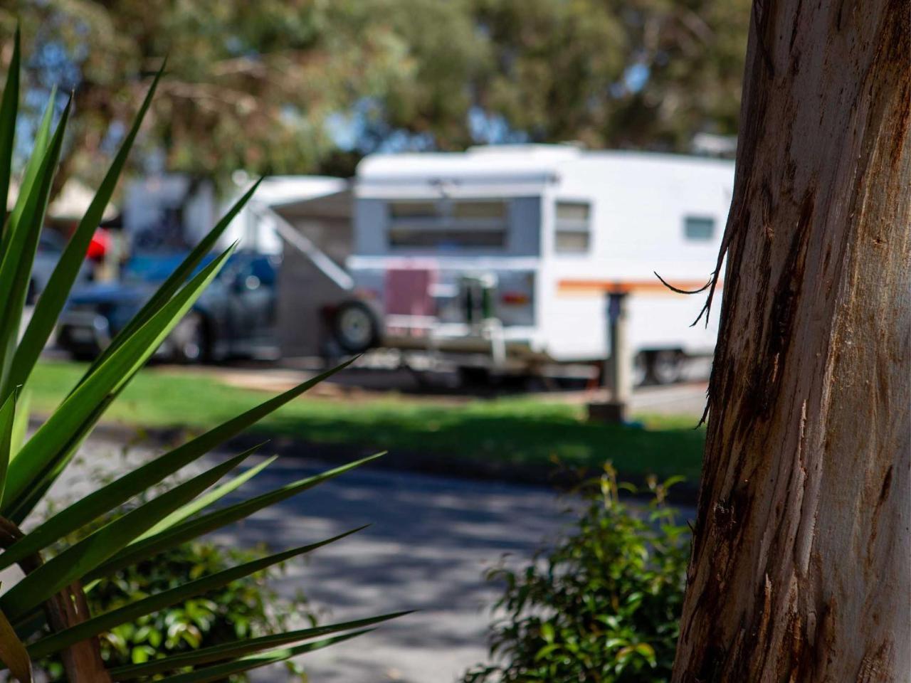 Echo Holiday Parks - Windsor Gardens Adelaida Exterior foto